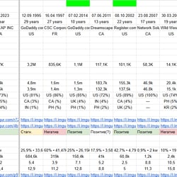 SEO-audyt konkurentów (USA) #3 — przykładowe portfolio freelancera w kategorii Promocja w wyszukiwarkach (SEO)