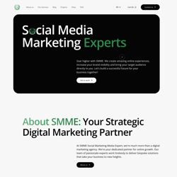 Eksperci ds. marketingu w mediach społecznościowych — przykładowe portfolio freelancera w kategorii Javascript & Typescript
