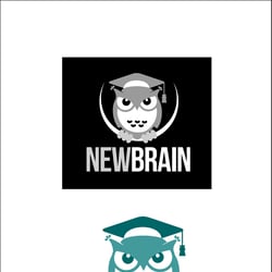 Owl — example of a freelancer's portfolio in the category Vector graphics