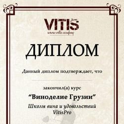 Создание шаблона диплома — приклад роботи портфоліо фрілансера в категорії Поліграфічний дизайн