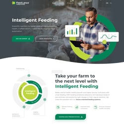 Feedlance — example of a freelancer's portfolio in the category Website Development