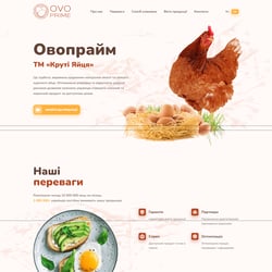 Creating a website on CMS WordPress — example of a freelancer's portfolio in the category Website Development