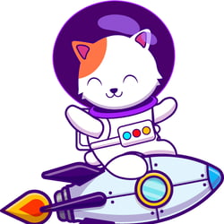 The Cat on the Rocket — example of a freelancer's portfolio in the category Illustrations & Drawings