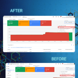 Disclosure of Merchant Center — example of a freelancer's portfolio in the category Contextual Advertising
