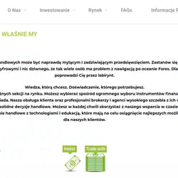 Перевод сайта ENG -PL — przykładowe portfolio freelancera w kategorii Tłumaczenie tekstów