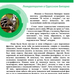Лемуротерапия и Сафари в клетке — przykładowe portfolio freelancera w kategorii Copywriting