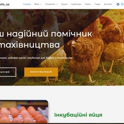 Сайт під ключ — пример работы портфолио фрилансера в категории 