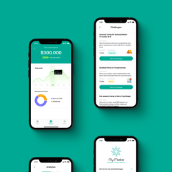 My Master — przykładowe portfolio freelancera w kategorii Projektowanie aplikacji mobilnych