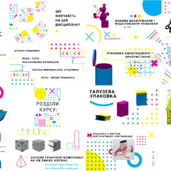 Bachelor’s Degree 2020 — example of a freelancer's portfolio in the category Infographics