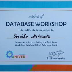 SQL — example of a freelancer's portfolio in the category Databases