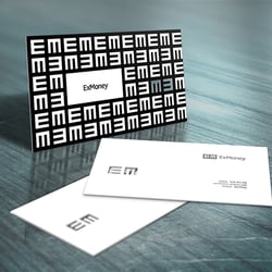 EX-money — przykładowe portfolio freelancera w kategorii Styl korporacyjny
