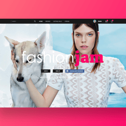 shots — пример работы портфолио фрилансера в категории Дизайн сайтов