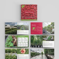 The Farm Booklet — example of a freelancer's portfolio in the category Print design