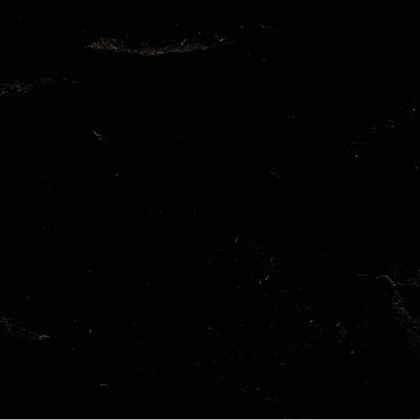 Logo Animation — example of a freelancer's portfolio in the category Animation