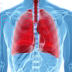 Supplements for lungs NSP — example of a freelancer's portfolio in the category Copywriting
