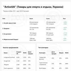 Продвижение магазина спортивных товаров в Украине — пример работы портфолио фрилансера в категории Продвижение в социальных сетях (SMM)