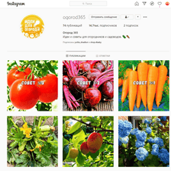 Creating and promoting a community in Instagram — example of a freelancer's portfolio in the category Social Media Marketing (SMM)