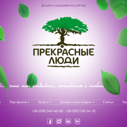Change of the functionality of the website for IT-studies on WP — example of a freelancer's portfolio in the category Web Programming