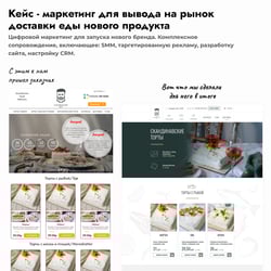 Цифровий маркетинг для новинки на ринку доставки їжі — приклад роботи портфоліо фрілансера в категорії Створення сайту під ключ