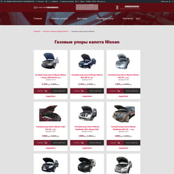 The wordpress. The Woocommerce. store of car parts. — example of a freelancer's portfolio in the category Website development