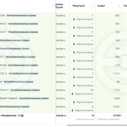 Таргет для бьюти мастера — пример работы портфолио фрилансера в категории Продвижение в социальных сетях (SMM)