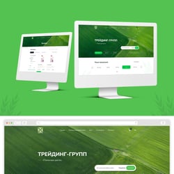 Traiding Group — пример работы портфолио фрилансера в категории Дизайн сайтов