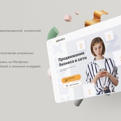 (сайт) Zevex — example of a freelancer's portfolio in the category Contextual advertising