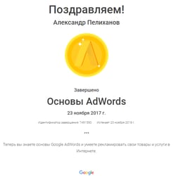 Google Adwords Advertising Certificate — example of a freelancer's portfolio in the category Search Engine Optimization (SEO)