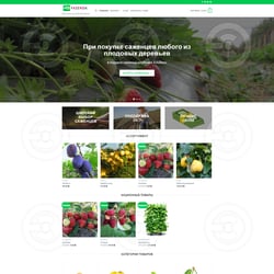 Ustawienie sklepu internetowego „Fazenda.Store” — przykładowe portfolio freelancera w kategorii Układ HTML i CSS