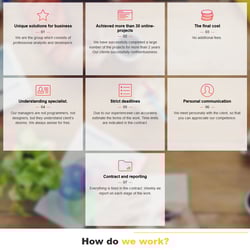 Create and promote SEOHelp websites — example of a freelancer's portfolio in the category English