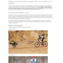 The Zoo Shop “Jolly-Wolly” — example of a freelancer's portfolio in the category Copywriting