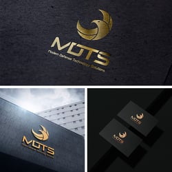 MDTS — example of a freelancer's portfolio in the category Logo design