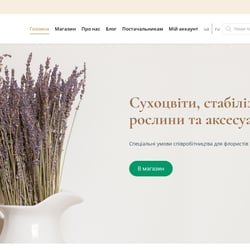 Магазин сухоцвітів та стабілізованих рослин — пример работы портфолио фрилансера в категории Сопровождение сайтов