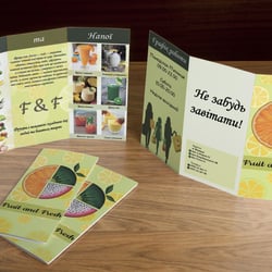The booklet — example of a freelancer's portfolio in the category Vector graphics