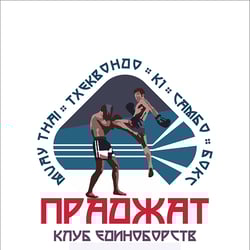 Логотип — приклад роботи портфоліо фрілансера в категорії Логотипи