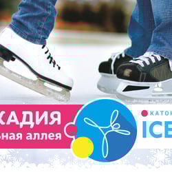 Наружная реклама для катка ICE CITY — приклад роботи портфоліо фрілансера в категорії Зовнішня реклама