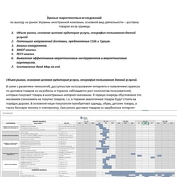 Market entry of delivery services in Ukraine — example of a freelancer's portfolio in the category Consulting