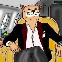 Персонаж для криптовалюти — приклад роботи портфоліо фрілансера в категорії Ілюстрації та малюнки