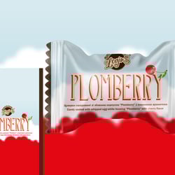 Plomberry — приклад роботи портфоліо фрілансера в категорії Дизайн упакування