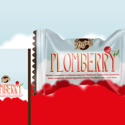 The Plomberry — example of a freelancer's portfolio in the category Package design