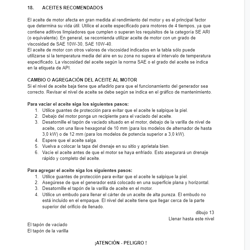 Translation to SP. Instructions and description of gas-bensin generators — example of a freelancer's portfolio in the category Spanish