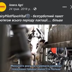 субтитры — пример работы портфолио фрилансера в категории Транскрибация