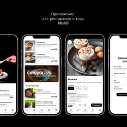 Nordi — example of a freelancer's portfolio in the category Hybrid mobile apps