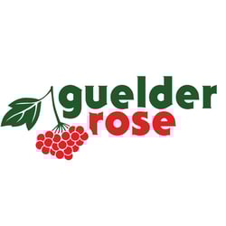 Logotype — example of a freelancer's portfolio in the category Logo Design