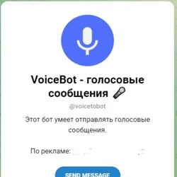 VoicetoBot — przykładowe portfolio freelancera w kategorii Python