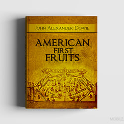 Design and cover of the book — example of a freelancer's portfolio in the category Print Design