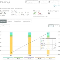 Wynik z TOP — przykładowe portfolio freelancera w kategorii Promocja w wyszukiwarkach (SEO)