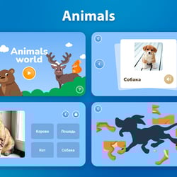 Animals — example of a freelancer's portfolio in the category App Development for Android