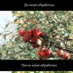 Обработка фото еды — пример работы портфолио фрилансера в категории Обработка фото