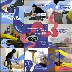 Promotion of Enot cleaning (SMM + targeting) — example of a freelancer's portfolio in the category Social Media Marketing (SMM)